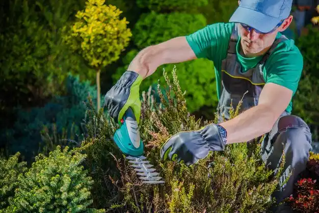 landscaping services Hudson